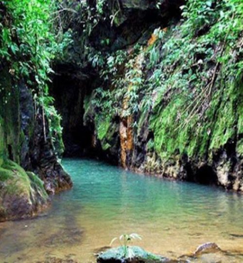 ciudad_perdida_falan